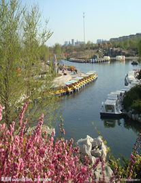 保定婚姻律师照片